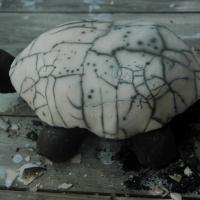 Raku nu . Stage poterie en Ardèche